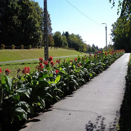 公寓 In - Thermalbad 20683 *